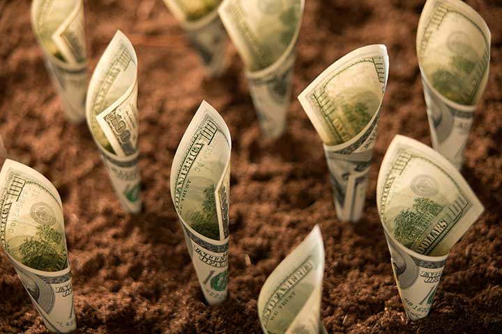 نتیجه تصویری برای با سرمایه کم چگونه ایجاد کسب و کار و تجارت کنیم؟