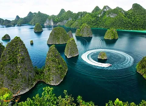 آراد برندینگ و تجارت با اندونزی