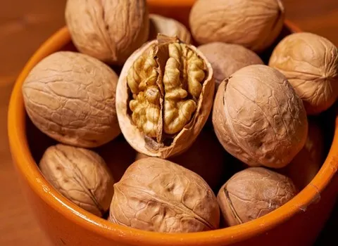 ارادبرندینگ، تجارت، آرادبرندینگ، صادرات، امارات، صادرات گردو