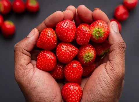 آرادبرندیگ، توت فرنگی، صادرات، تجارت، ارادبرندینگ، صادرات توت فرنگی