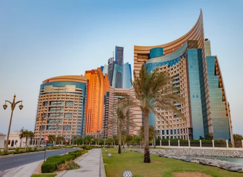 بهترین تجارت در دبی،  best business in Dubai، صادرات به دبی، تجارت، صادرات، دبی، آراد برندینگ، ایران، export ،Iran ،Asia ، Dubai ،Trade ،Business، Arad Branding، United Arab Emirates، UAE