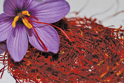 نتیجه تصویری برای صادرات زعفران