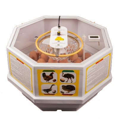 Image result for دستگاه جوجه کشی خانگی ه