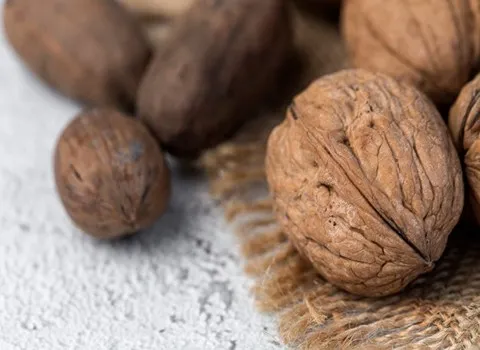 ارادبرندینگ، تجارت، آرادبرندینگ، صادرات، امارات، صادرات گردو