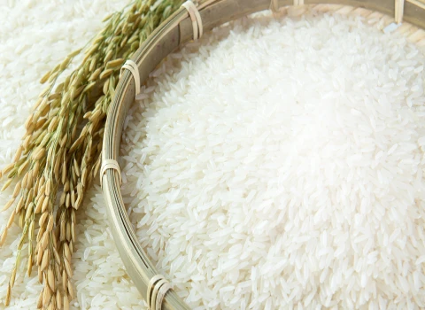 بازار برنج،  Rice market، صادرات، آراد برندینگ، تجارت، ایران، export ،Iran ،Trade ،Business