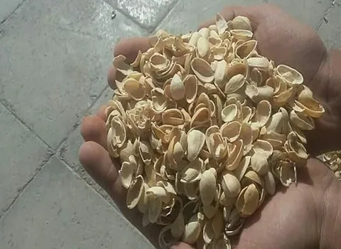 ارادبرندینگ، صادرات، تجارت، آرادبرندینگ، صادرات به ترکیه، صادرات پوست پسته