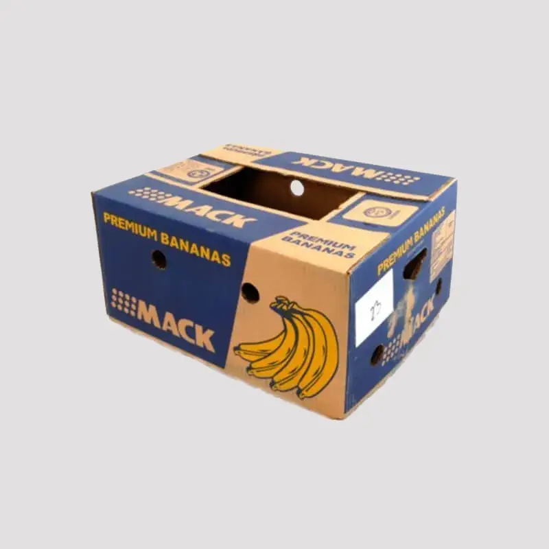 کارتن پلاست