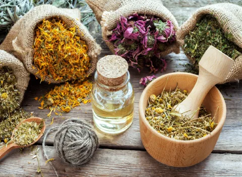 صادرات گیاهان دارویی به آلمان،  Exporting medicinal plants to Germany، صادرات از ایران به آلمان، گیاهان دارویی، صادرات، آلمان، آراد برندینگ، ایران، medicinal plants ،export ،Iran ،Germany ،Trade ،Business