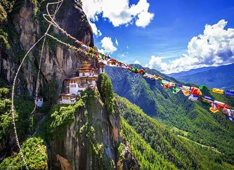 صادرات خرما به هند