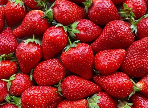 آرادبرندیگ، توت فرنگی، صادرات، تجارت، ارادبرندینگ، صادرات توت فرنگی