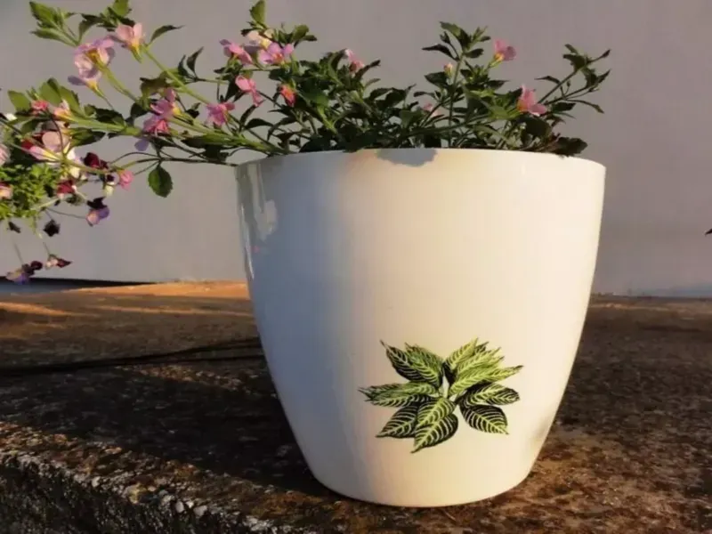 گلدان سفالی