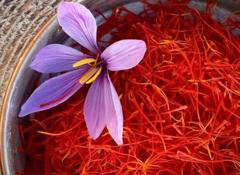 صادرات زعفران به ترکیه، Exporting saffron to Turkey، صادرات از ایران به ترکیه، صادرات، ترکیه، ایران، export ،Iran ،Turkey ،Trade ،Business ،saffron ، global market