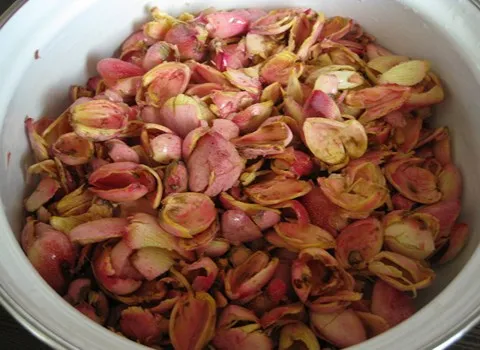 ارادبرندینگ، صادرات، تجارت، آرادبرندینگ، صادرات به ترکیه، صادرات پوست پسته