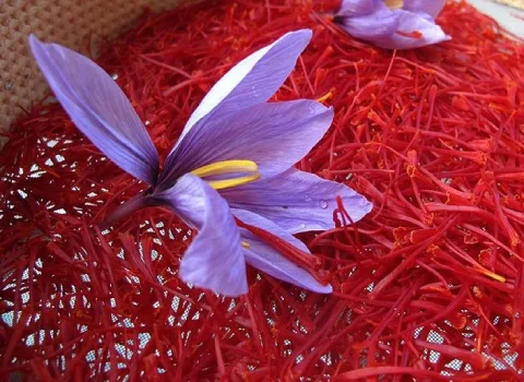صادرات زعفران به ترکیه، Exporting saffron to Turkey، صادرات از ایران به ترکیه، صادرات، ترکیه، ایران، export ،Iran ،Turkey ،Trade ،Business ،saffron ، global market