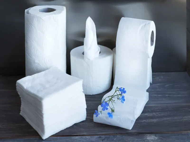 محصولات سلولزی نازگل