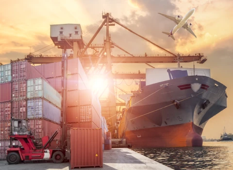 صادرات خرما به ترکیه،  Export dates to Türkiye، صادرات از ایران به ترکیه، صادرات، ترکیه، ایران، dates ،export ،Iran ،Turkeyn ،Trade ،Business