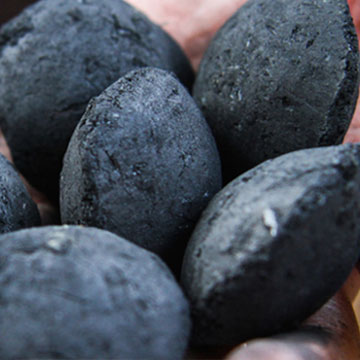 نتیجه تصویری برای بریکت