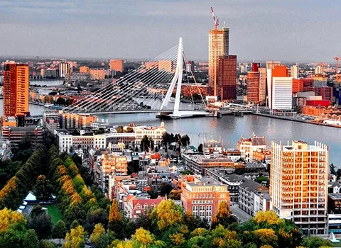 صادرات خشکبار به هلند