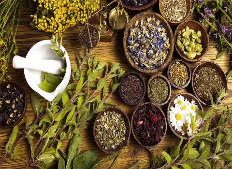 صادرات گیاهان دارویی به آلمان،  Exporting medicinal plants to Germany، صادرات از ایران به آلمان، گیاهان دارویی، صادرات، آلمان، آراد برندینگ، ایران، medicinal plants ،export ،Iran ،Germany ،Trade ،Business