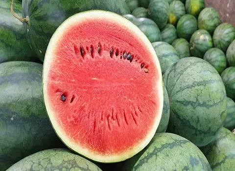 صادرات هندوانه به ارمنستان