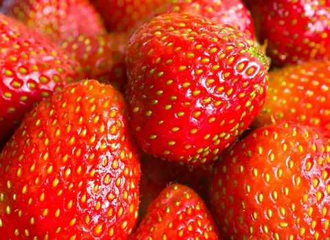 آرادبرندیگ، توت فرنگی، صادرات، تجارت، ارادبرندینگ، صادرات توت فرنگی